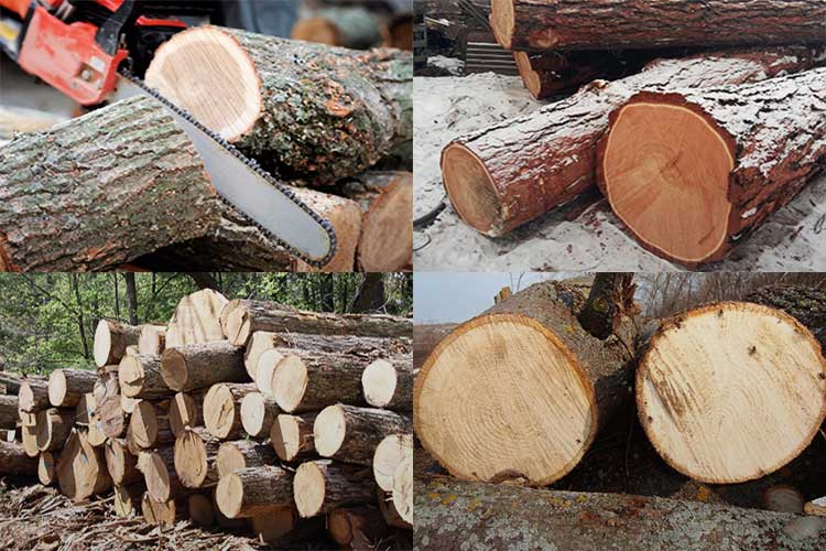 Сколько весит древесина