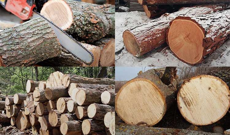 Сколько весит древесина